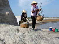 Marais salants, Dong Muoi, 